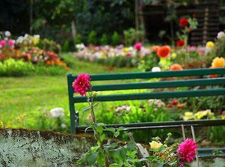 Oak Field Resort Munnar Kültér fotó