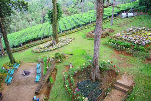 Oak Field Resort Munnar Kültér fotó