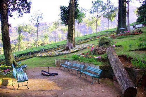 Oak Field Resort Munnar Kültér fotó