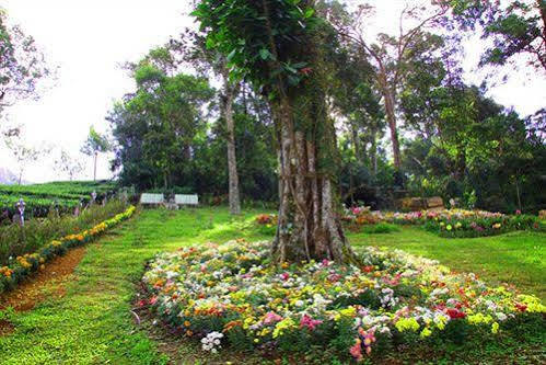 Oak Field Resort Munnar Kültér fotó